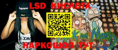 прущие грибы Краснокаменск