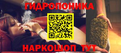 амф Краснодар