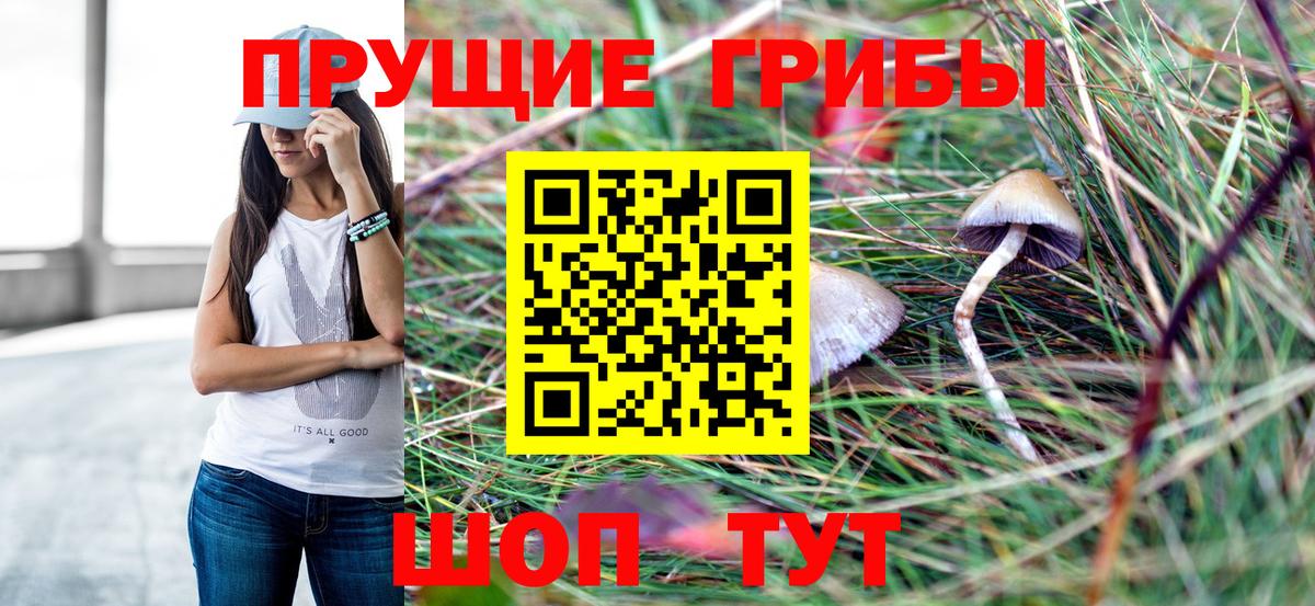 Псилоцибиновые грибы Magic Shrooms  Вход с VPN  Костомукша  где купить наркотик  Псилоцибиновые грибы GOLDEN TEACHER 
